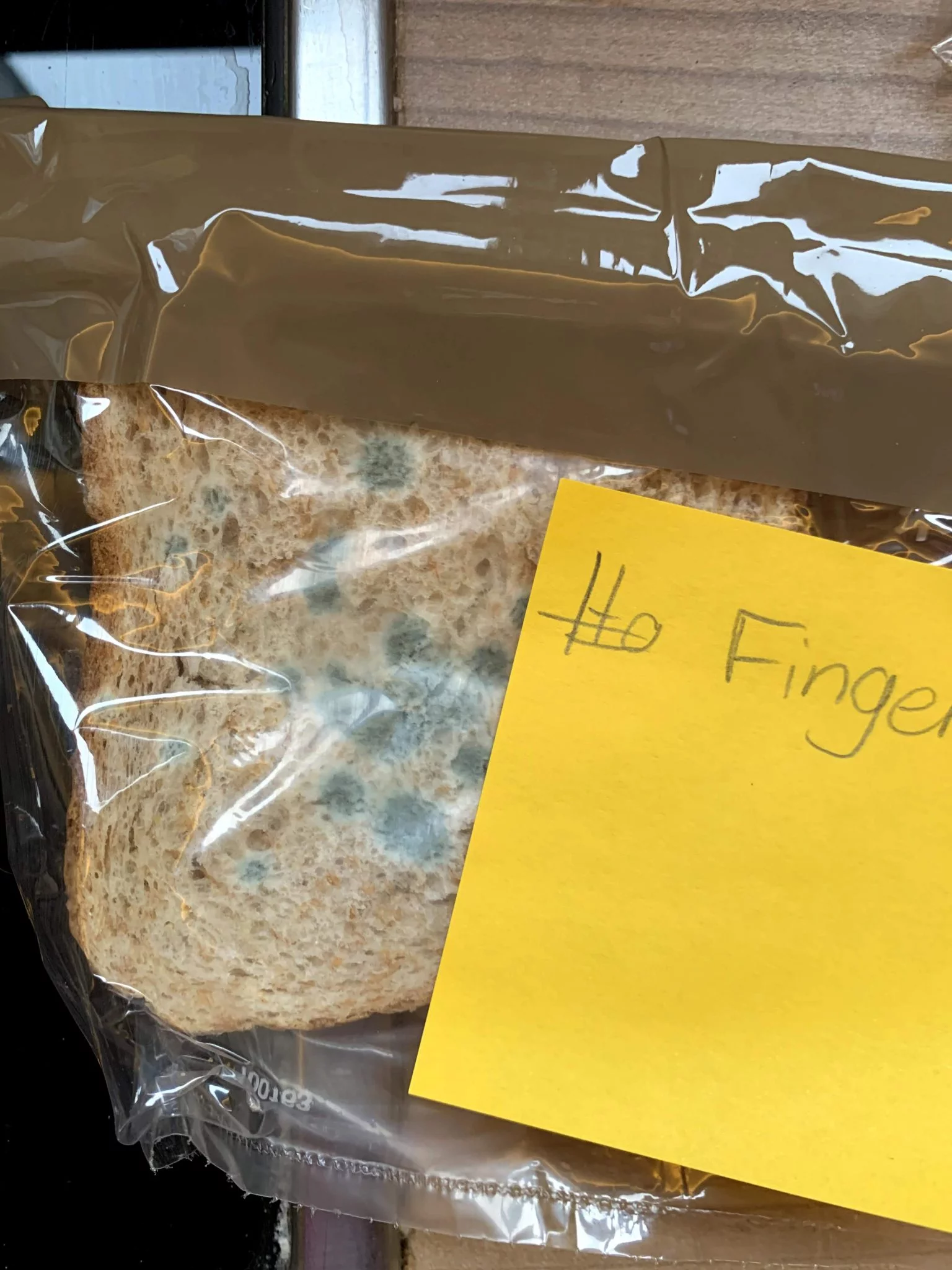 Toast-Brot mit schmutzigen Händen angefasst – starker Schimmelbefall